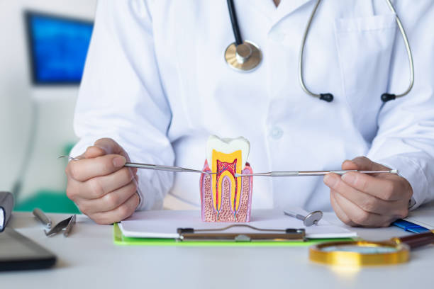 Best Cosmetic Emergency Dentistry in Winnsboro, TX